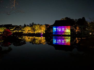 NAKEDヨルマイリ 2025-26 平安神宮に投稿された画像（2026/1/7）