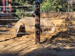 恩賜上野動物園に投稿された画像（2026/1/7）