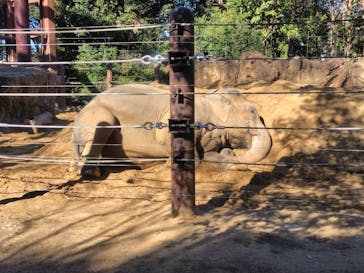 恩賜上野動物園に投稿された画像（2026/1/7）