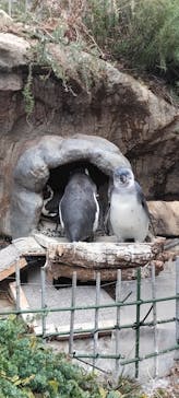 サンシャイン水族館に投稿された画像（2026/1/7）