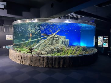 サケのふるさと 千歳水族館に投稿された画像（2026/1/8）