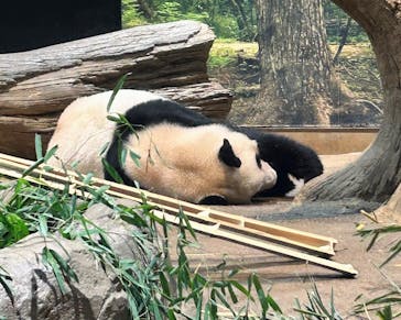 恩賜上野動物園に投稿された画像（2026/1/8）