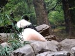 恩賜上野動物園に投稿された画像（2026/1/8）