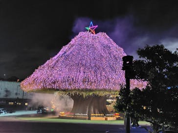 東京メガイルミに投稿された画像（2026/1/8）