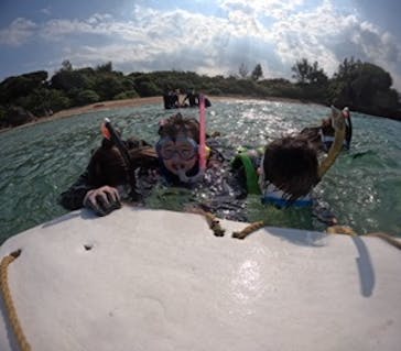 青の洞窟専門店　沖縄ダイビングショップ和に投稿された画像（2026/1/8）