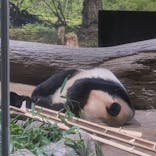恩賜上野動物園に投稿された画像（2026/1/8）