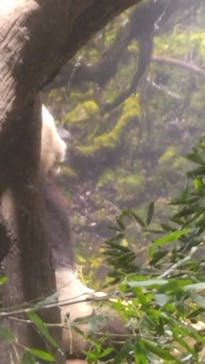 恩賜上野動物園に投稿された画像（2026/1/8）