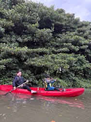 ひかりオーシャンズに投稿された画像（2026/1/8）