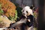 恩賜上野動物園に投稿された画像（2026/1/8）