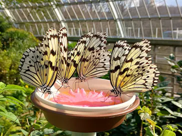 多摩動物公園に投稿された画像（2026/1/8）