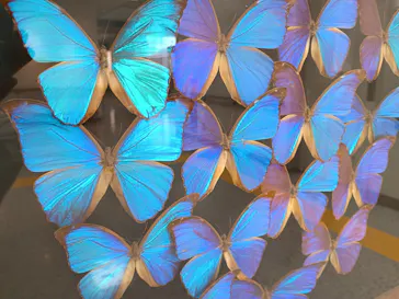 多摩動物公園に投稿された画像（2026/1/8）