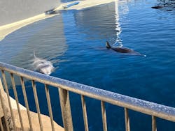 大分マリーンパレス水族館 「うみたまご」に投稿された画像（2026/1/8）