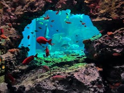 大分マリーンパレス水族館 「うみたまご」に投稿された画像（2026/1/8）