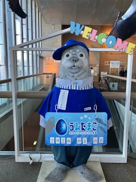 大分マリーンパレス水族館 「うみたまご」に投稿された画像（2026/1/8）