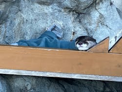 大分マリーンパレス水族館 「うみたまご」に投稿された画像（2026/1/8）