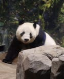 恩賜上野動物園に投稿された画像（2026/1/8）