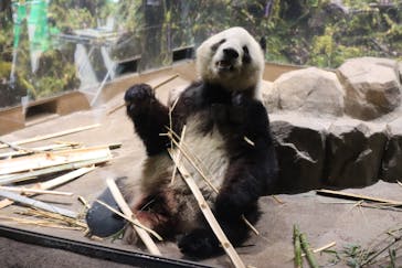 恩賜上野動物園に投稿された画像（2026/1/8）