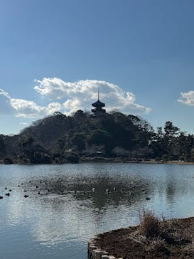 三溪園に投稿された画像（2026/1/8）