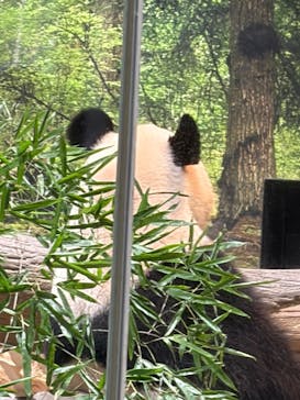 恩賜上野動物園に投稿された画像（2026/1/8）