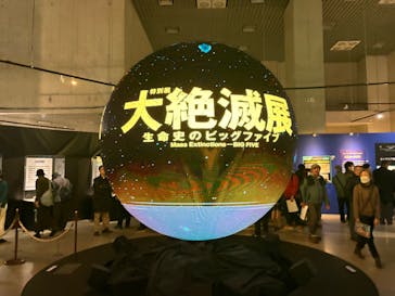 特別展「大絶滅展―生命史のビッグファイブ」に投稿された画像（2026/1/8）