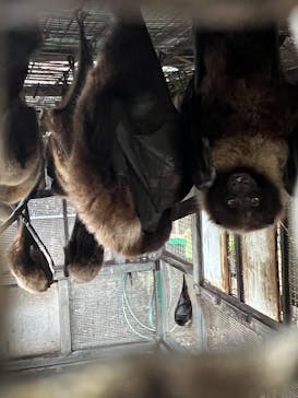 おきなわワールドに投稿された画像（2026/1/8）