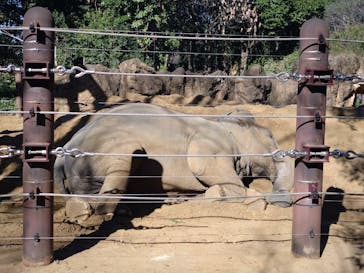 恩賜上野動物園に投稿された画像（2026/1/8）