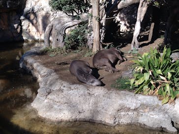 恩賜上野動物園に投稿された画像（2026/1/8）