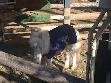 恩賜上野動物園に投稿された画像（2026/1/8）