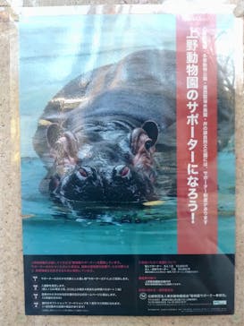 恩賜上野動物園に投稿された画像（2026/1/8）