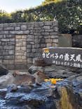 伊豆シャボテン動物公園に投稿された画像（2026/1/8）