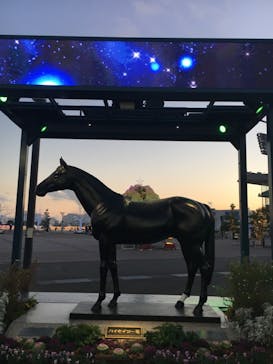 東京メガイルミに投稿された画像（2026/1/8）