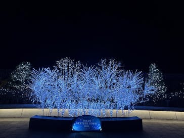 東京スカイツリーに投稿された画像（2026/1/8）