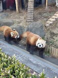 恩賜上野動物園に投稿された画像（2026/1/8）