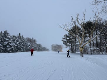 安比高原スキー場に投稿された画像（2026/1/8）