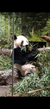 恩賜上野動物園に投稿された画像（2026/1/8）