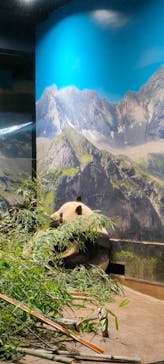 恩賜上野動物園に投稿された画像（2026/1/8）