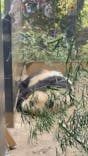 恩賜上野動物園に投稿された画像（2026/1/8）