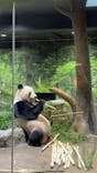 恩賜上野動物園に投稿された画像（2026/1/8）