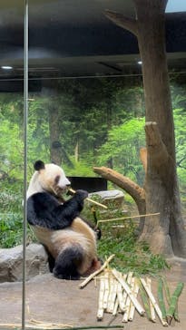 恩賜上野動物園に投稿された画像（2026/1/8）