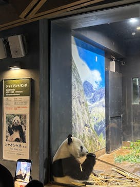 恩賜上野動物園に投稿された画像（2026/1/8）