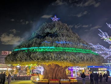 東京メガイルミに投稿された画像（2026/1/8）