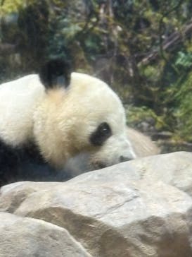 恩賜上野動物園に投稿された画像（2026/1/8）