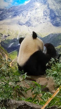 恩賜上野動物園に投稿された画像（2026/1/8）