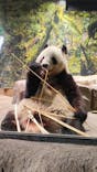 恩賜上野動物園に投稿された画像（2026/1/8）