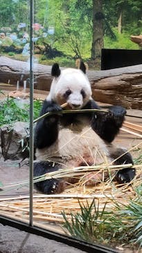 恩賜上野動物園に投稿された画像（2026/1/8）