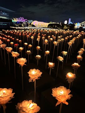 東京メガイルミに投稿された画像（2026/1/8）