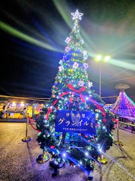 伊豆高原グランイルミに投稿された画像（2026/1/8）