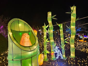 伊豆高原グランイルミに投稿された画像（2026/1/8）