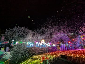 伊豆高原グランイルミに投稿された画像（2026/1/8）