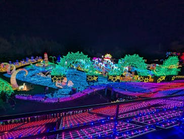 伊豆高原グランイルミに投稿された画像（2026/1/8）